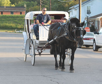 Horse and carriage